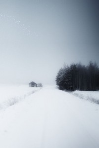 Winter1 (1)